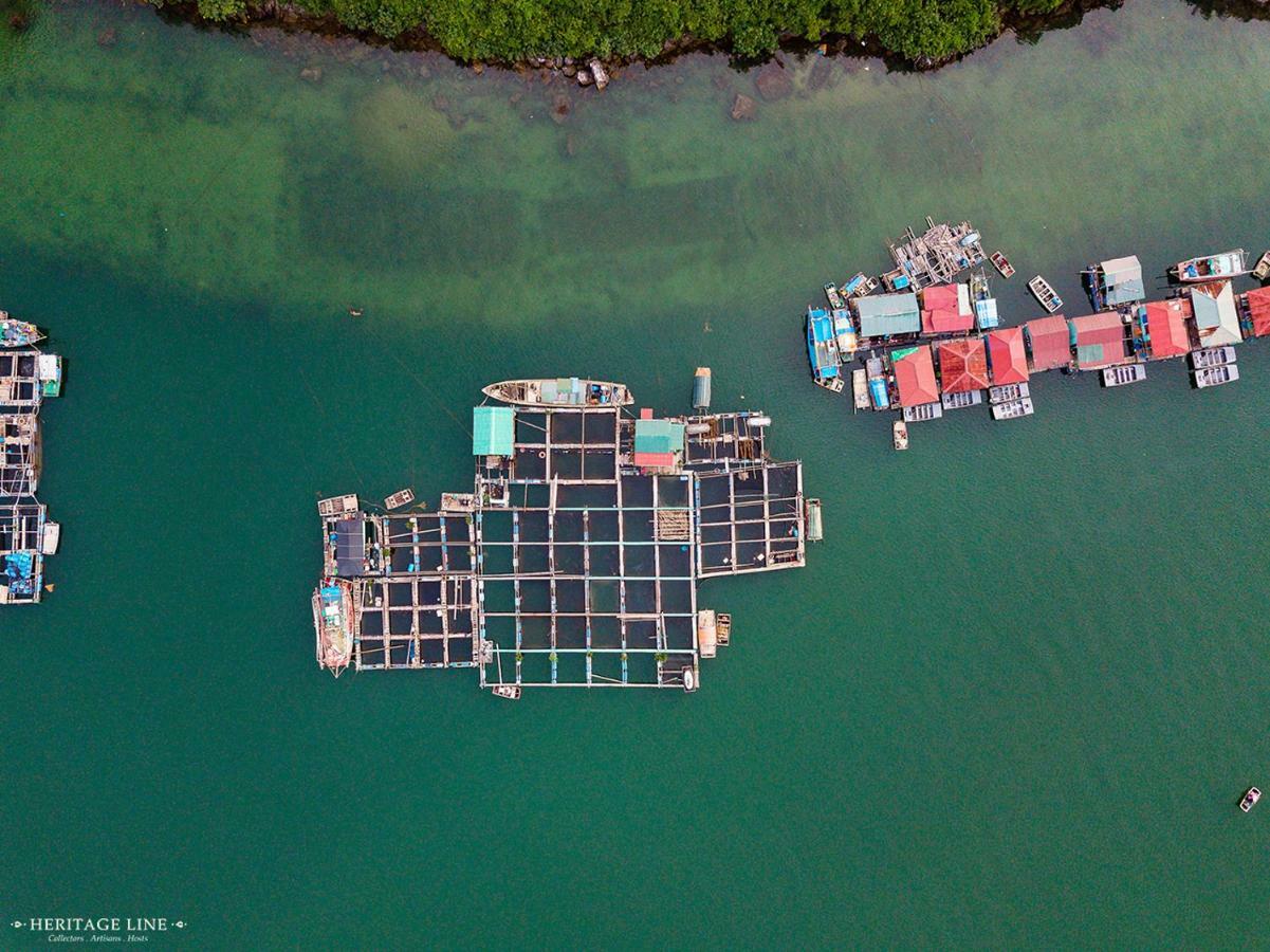 Heritage Line Violet Cruise - Halong Bay & Lan Ha Bay Ha Long Exteriör bild