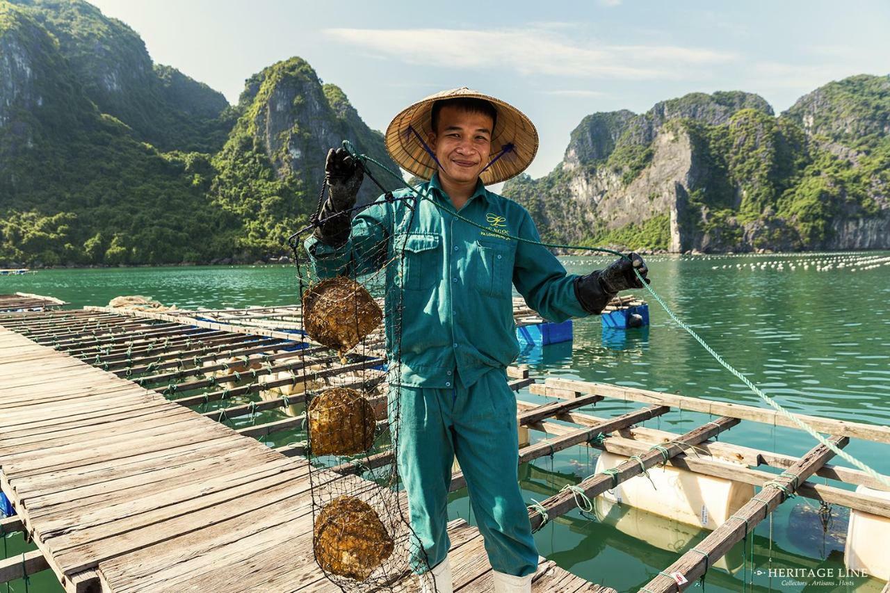 Heritage Line Violet Cruise - Halong Bay & Lan Ha Bay Ha Long Exteriör bild