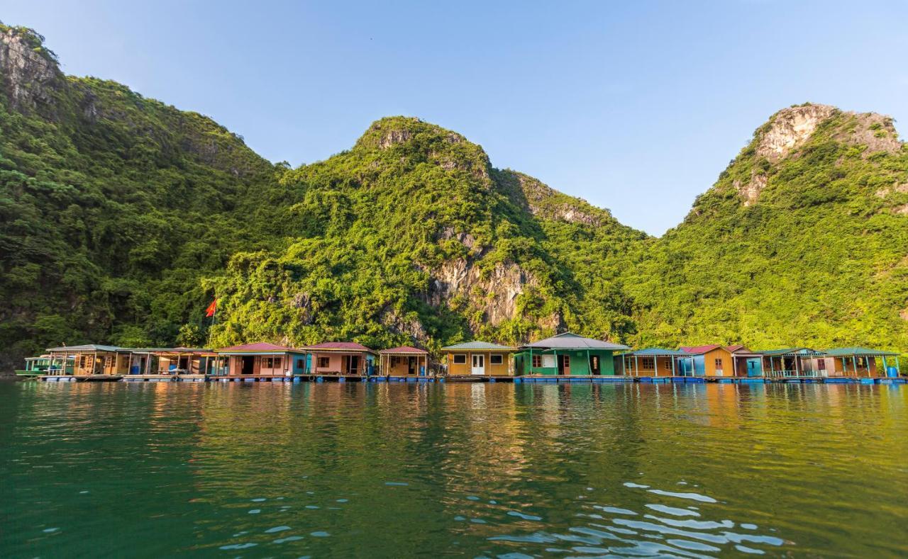 Heritage Line Violet Cruise - Halong Bay & Lan Ha Bay Ha Long Exteriör bild